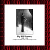 Big Bill Broonzy - Bull Cow Blues No. 3 (Alternate Take)