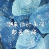 王佳音 - 原来你的承诺都是欺骗
