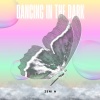 Zeni N - Dancing In The Dark