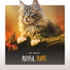 Cat Music - Hunting Milk