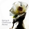 Melon Monkey Club、Macoma Beach Club - Reflections (Soft House Mix)