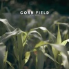 Zen Sounds、Natural Sounds Selections、Nature Sound Collection - Corn Field After Dark