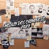 DJ Badola Quiriqui Mutante、DJ MAU MAU GORILA MUTANTE、MC RD、TROPA DO LE - Medley De Criminoso 2025 (Explicit)