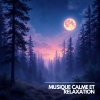 Musique Calme et Relaxation、Relaxation Sommeil et Détente、Musique de Relaxation - Rythmes Nocturnes pour une Nuit de Sommeil