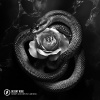 Harddope、Blvck Cobrv、Jaime Deraz、G King - Desert Rose (feat. Jaime Deraz)