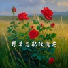 佑伊 - 野草怎配玫瑰花 (破碎版)