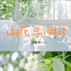 白楚微 - 山花寻海树