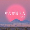 老烟叔 - 时光你慢点走