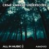 All In Music - Capital Case