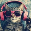 Muzyka dla kocich uszu、Usypianie kota、medytacja、Cat Hour、Cat Music! - Mruczące Melodie