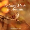 Calming Music For Pets - Pleasant Rains