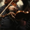Coffee Shop Ambient、Pure Relaxation、Quiet Night Relaxation - Gentle Relaxation in Orchestral Harmony
