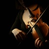 Crystal Tones、Catching Sleep、Cool Cats Coffee House - Harmonious Orchestra Soothes Cats