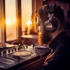 Mindful Eclipse、Playlist For Office Work、Focus Skills Zone - Focus Flow Session