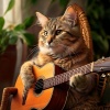 The Sleepy Guitar、Music for Cats Playlist、Music For Rehoming Cats - Guitar’s Feline Touch
