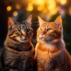 Blissful Love Lounge、Cat Music、Relaxing Music for Cats Moments - Gentle Purring Tones