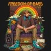 Keshav Vinod - Bassically Indian