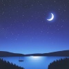Music For Plants、Stress Relief、Achieve Inner Harmony - Soft Tunes for Nighttime Unwinding