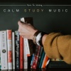 Music for Working - Beach Stem