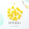 Echo Lantern - Spring