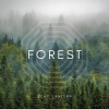 Echo Lantern - Forest