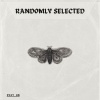 Piky Rd - Randomly selected (Explicit)