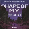 Now O Later、SSR、Jaime Deraz、Cheerful Dance - Shape Of My Heart