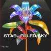 Piky Rd - Star-filled sky (Explicit)