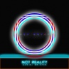 Daniel Meister - Not Reality