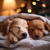Lista de reproducción feliz para relajarse、MascotasTotal Relax、Asistente para la calma animal - Melodías Lofi Confort Para Mascotas