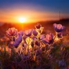 Hace muchas lunas、Leyendas de la música para dormir、Canciones para dormir con sonidos de la naturaleza - Tranquila Melodía Nocturna De Lofi