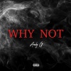 Andy G - WHY NOT (Explicit)