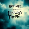 Grach - Hedwig's Theme