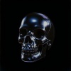 BELLADONNA+、Frankyeffe - No Brain