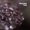 Nature Sounds - Sea Rain