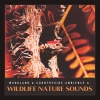 Nature Recordings - Bird Ambience