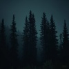 UNCHND - Midnight Echoes