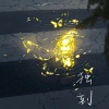 伊焱焱 - 独到