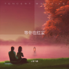 上官飞燕 - 等你在红尘