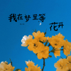 诗人凉 - 我在梦里等花开