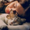 Las barbas son mejores、Atrapar el sueño、El relajante para gatos - Orquesta Armoniosa Que Calma A Los Gatos