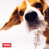 TIPPA、MELO - Suomileijona