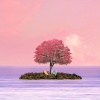entoy、shaltt - Love Island