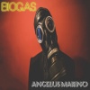 Angelus Marino - Biogas