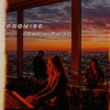 Dj Haiku - Promise (Radio Edit)