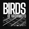 Birds Of Hashimoto、Simber - No Strings