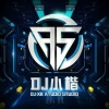 DJ小楷 - 冰冰摇 (DJ版)