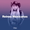 Vilax - VT