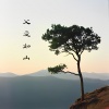 青春知音 - 父爱如山