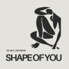 Echo Lantern - Shape of You
